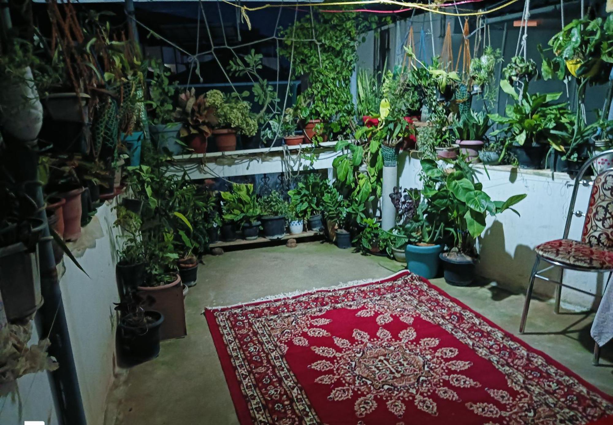 Dion Homestay Kochi Εξωτερικό φωτογραφία